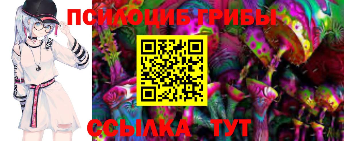 Югорск  Псилоцибиновые грибы Psilocybe  Вход с VPN 