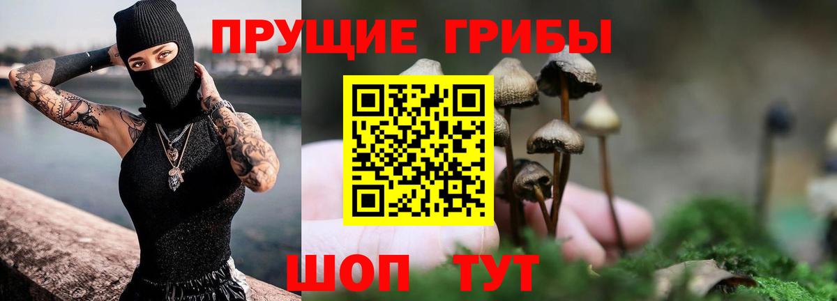 Псилоцибиновые грибы Psilocybine cubensis Югорск